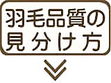 羽毛の選び方?羽毛の種類と暖かさ
