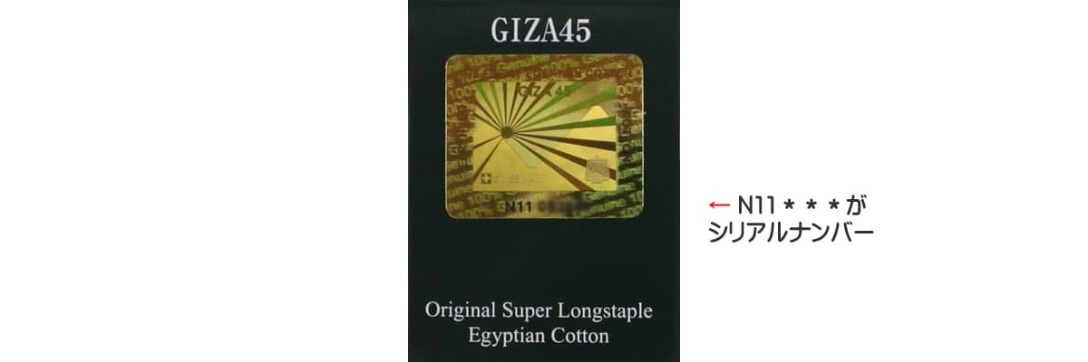 GIZA45のタグ