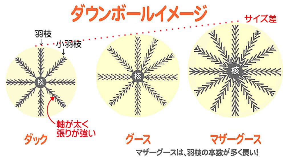 ダック・グース・マザーグースのダウンボール比較図