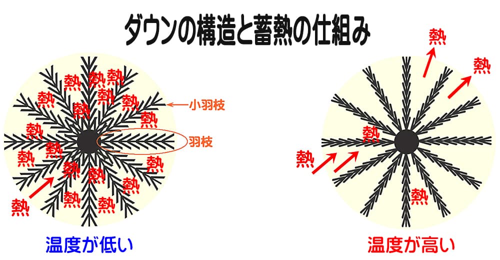 ダウンボールの構造と蓄熱の仕組み